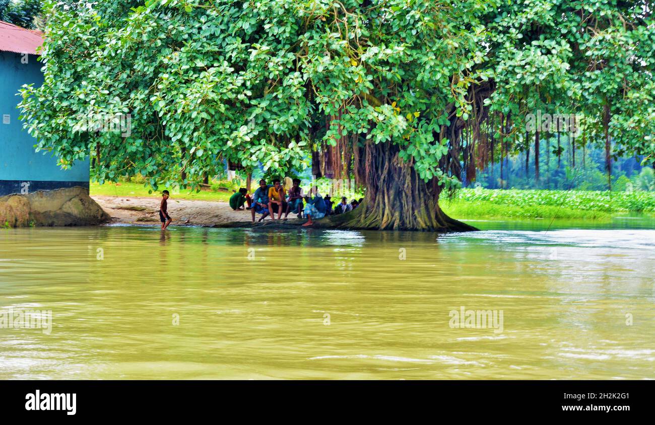 Village scenery,river side,Bangladesh. Stock Photo