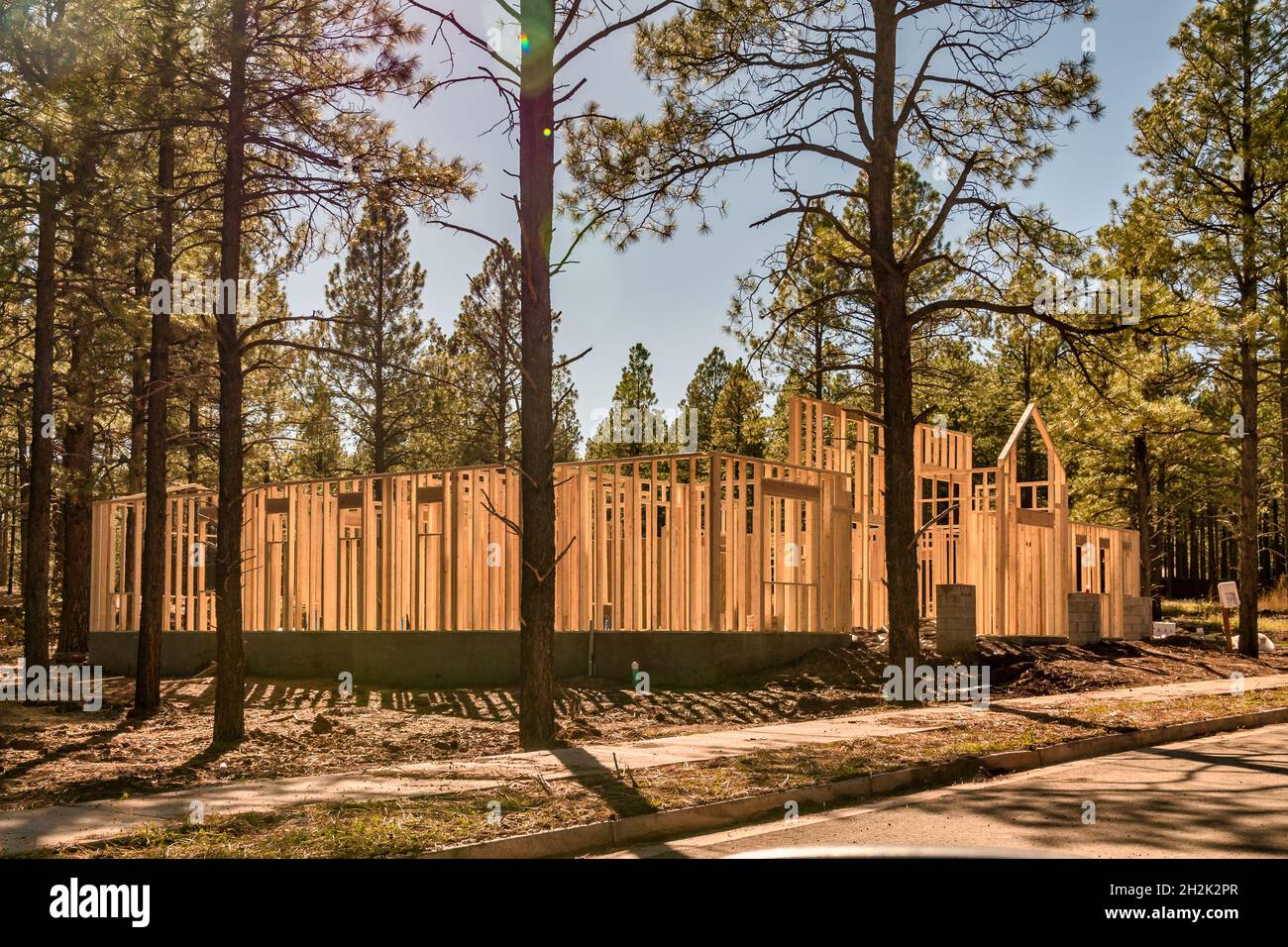 New home construction frame work among trees Stock Photo