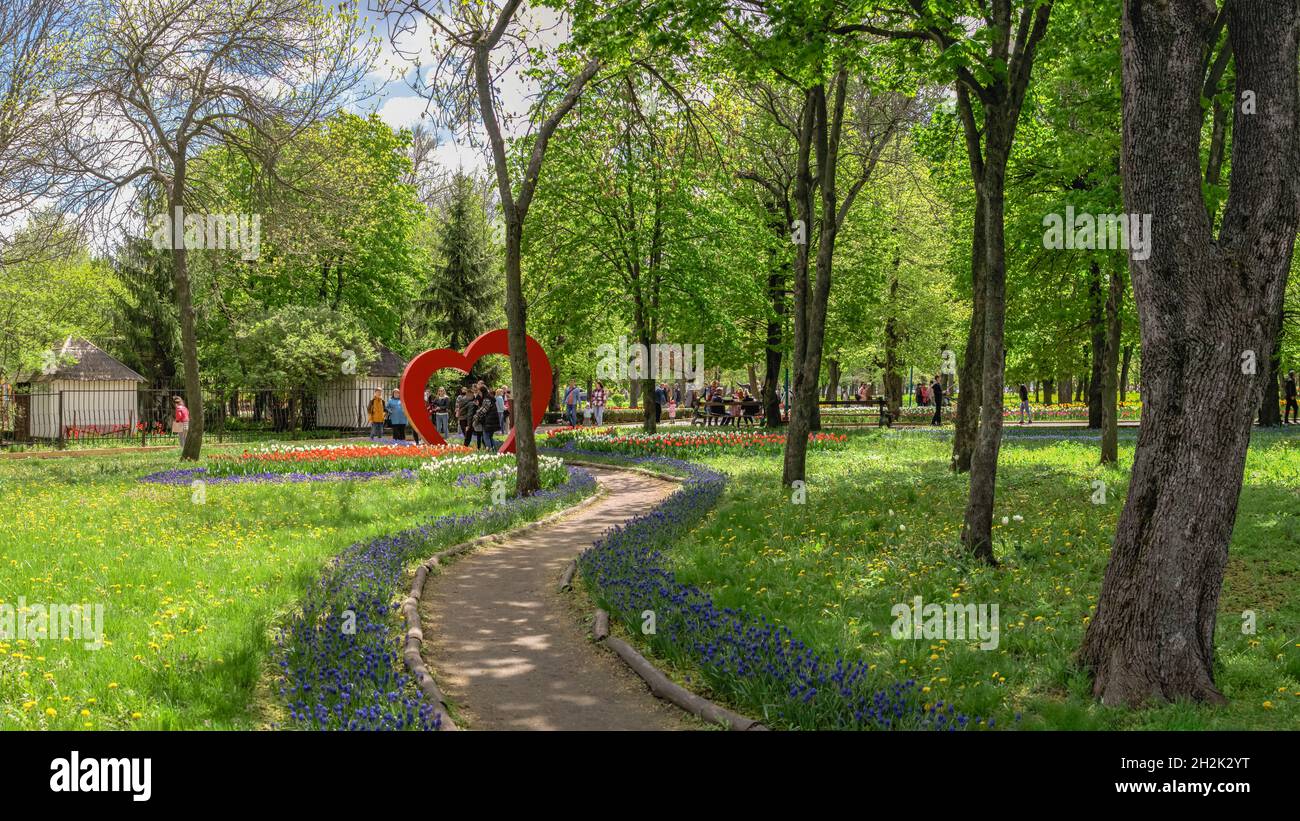 Kropyvnytskyi, Ukraine 09.05.2021. Kropyvnytskyi arboretum in the city park on a sunny spring day Stock Photo