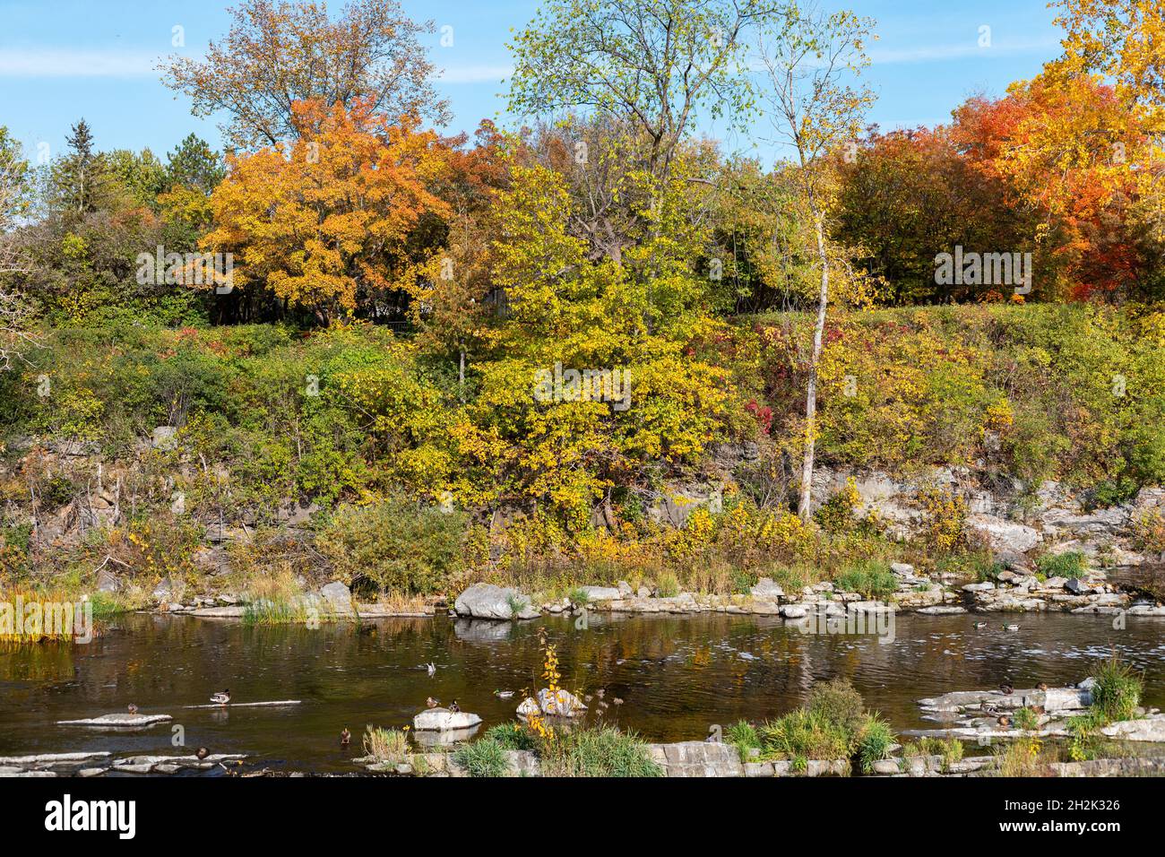 The Hog's Back park and falls on the Rideau River in Ottawa city of ...