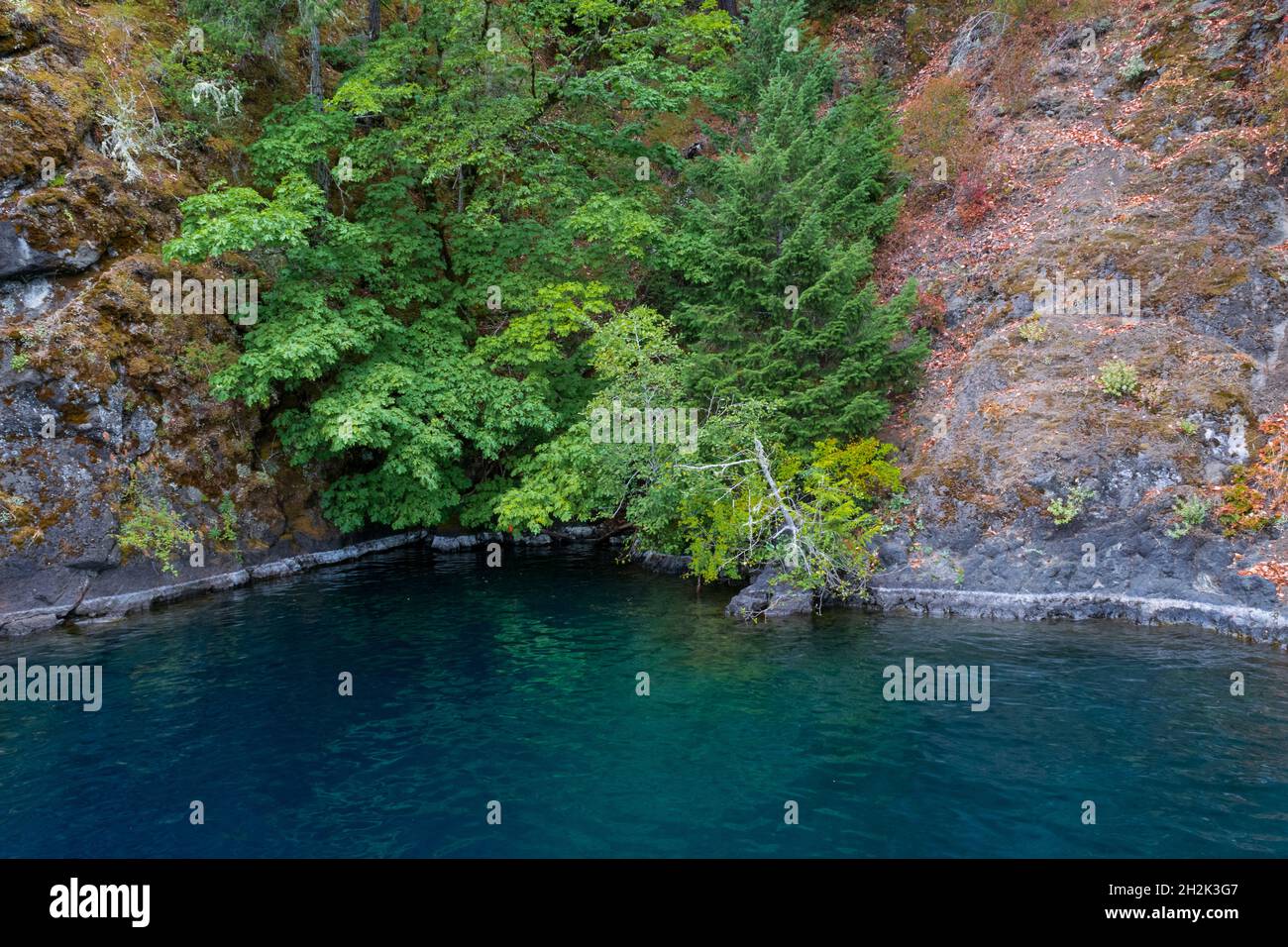 Devil's punchbowl olympic national park