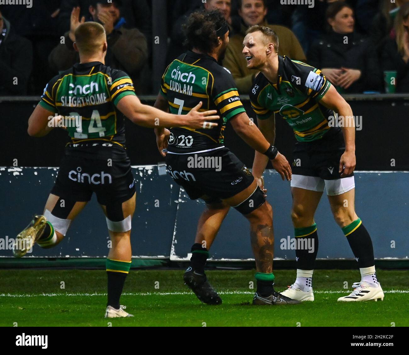 Rory Hutchinson of Northampton Saints celebrates his try Stock Photo ...