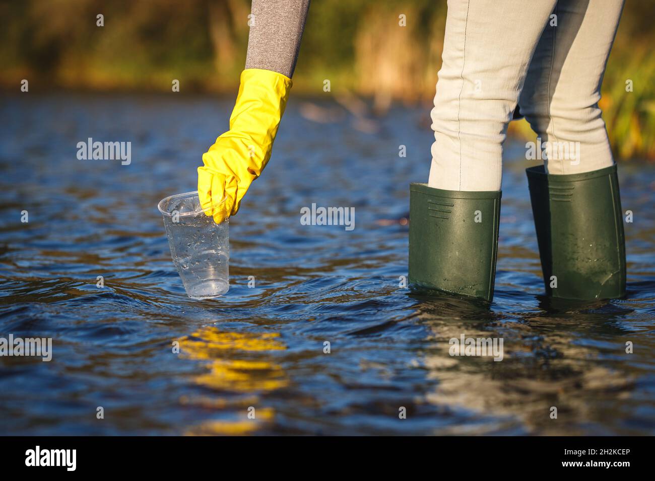 Volunteer is picking up plastic waste from water. Cleaning lake or