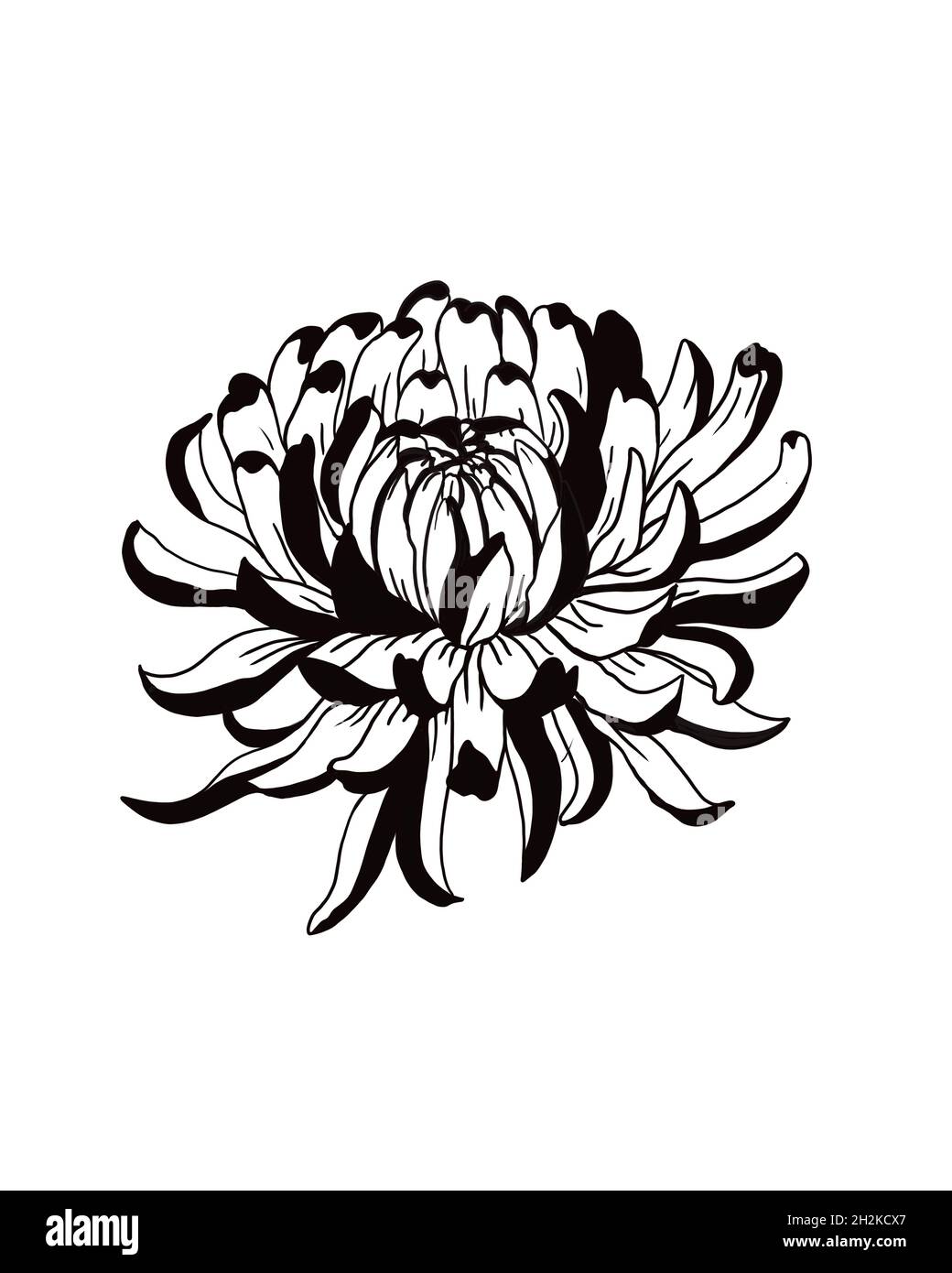 Peony flowers in japanese tattoo style Hand drawn inked flowers Black and  white floral elements Vector illustration Stock Vector  Adobe Stock