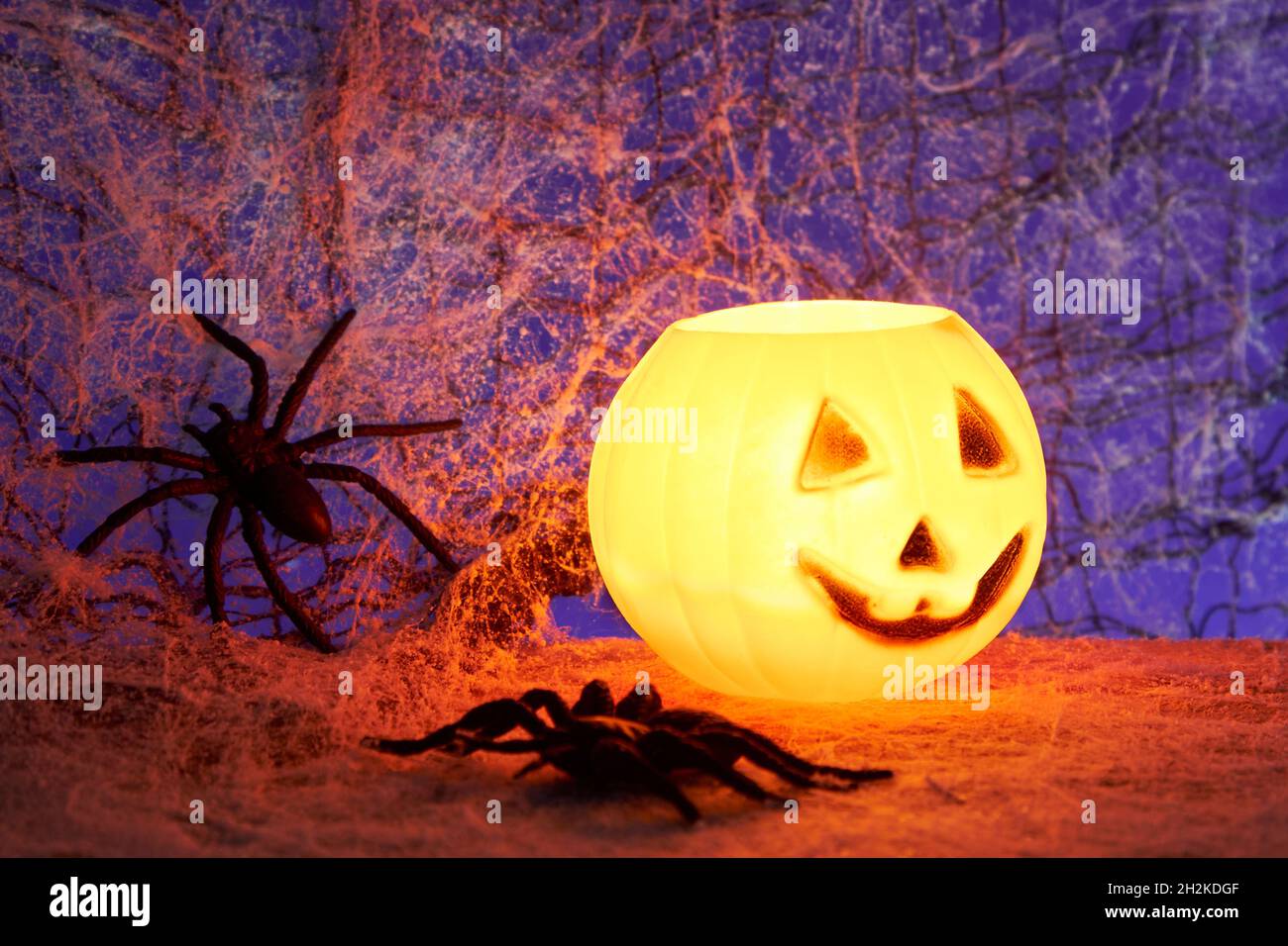 Halloween concept with a orange glowing pumpkin shape tealight candle holder and toy spiders on a dark cobweb background Stock Photo