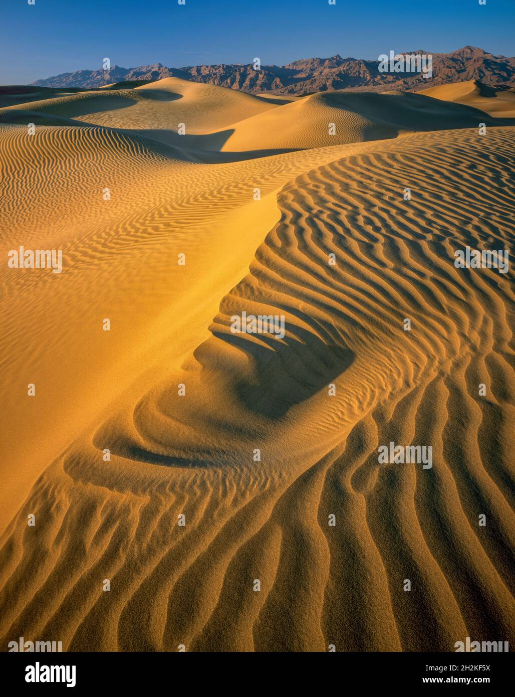 Mesquite Dunes, Grapevine Mountains, Death Valley National Park, California Stock Photo