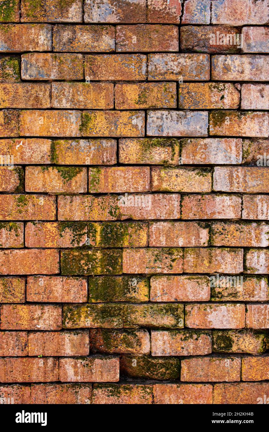 Clay bricks on a wall with moss, cracks and blue paint. Vector clay