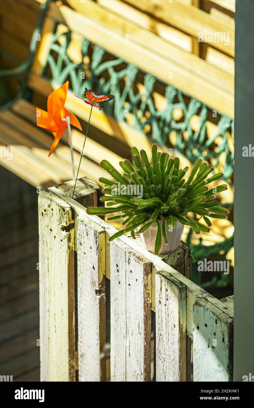 Image showcasing Penthouse terrace with plants and wooden furniture Stock Photo - Alamy