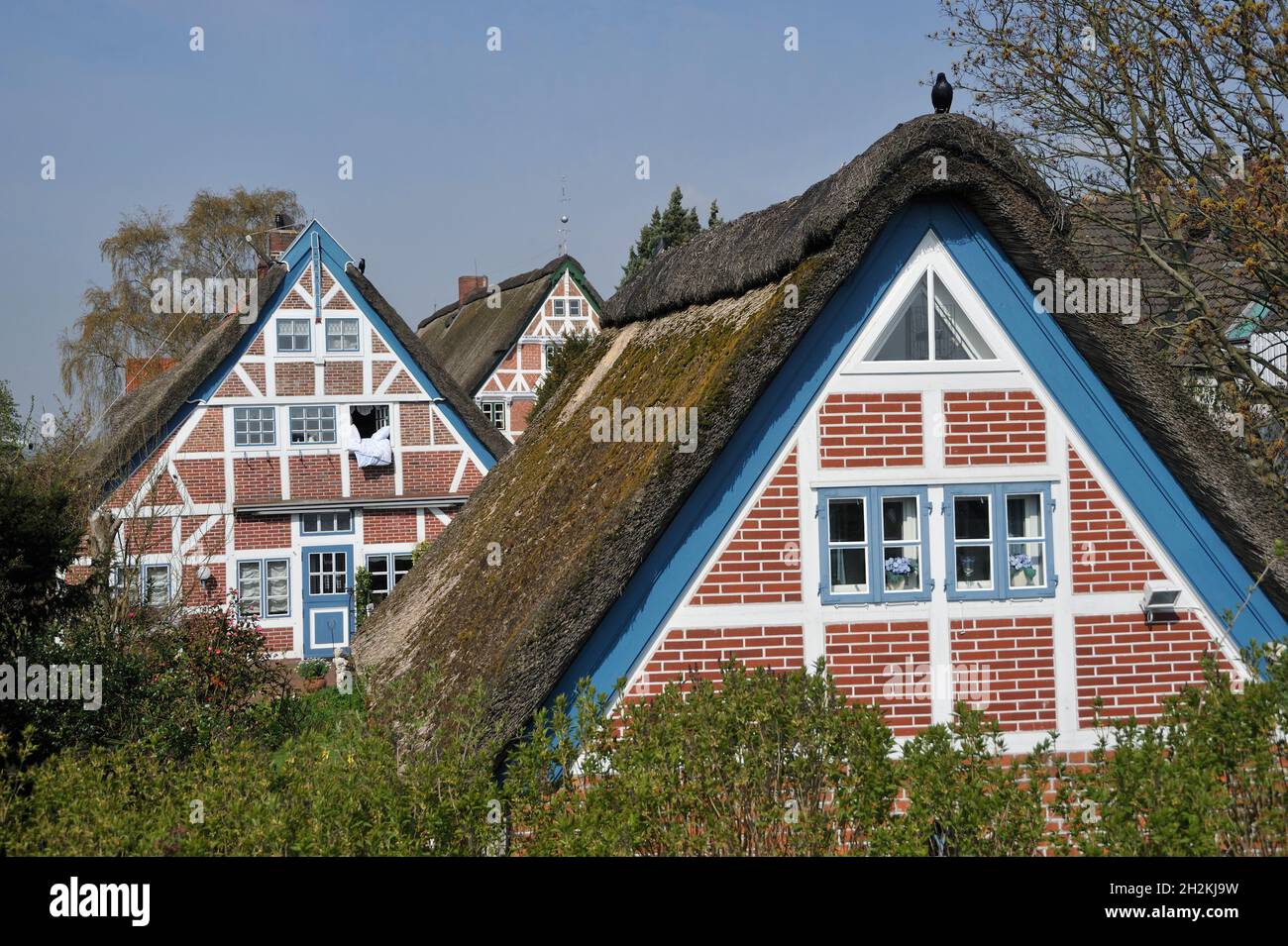 Häuser in Steinkirchen, Samtgemeinde Lühe im Landkreis Stade, Niedersachsen, Deutschland Stock Photo