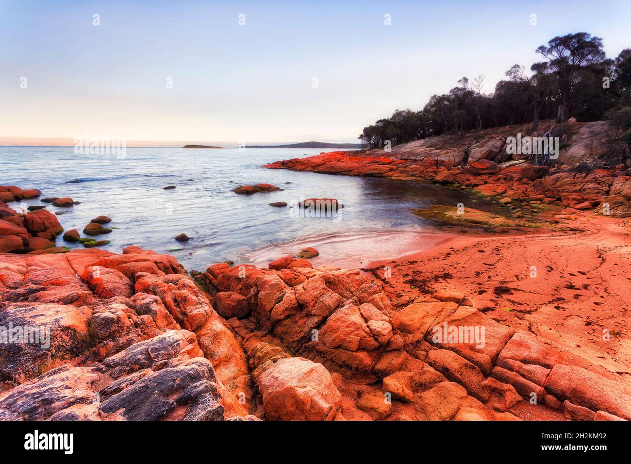 Red sand and lichen covered granite rock boulders on Coles bay pacific coast of Tasmania at sunrise. Stock Photo