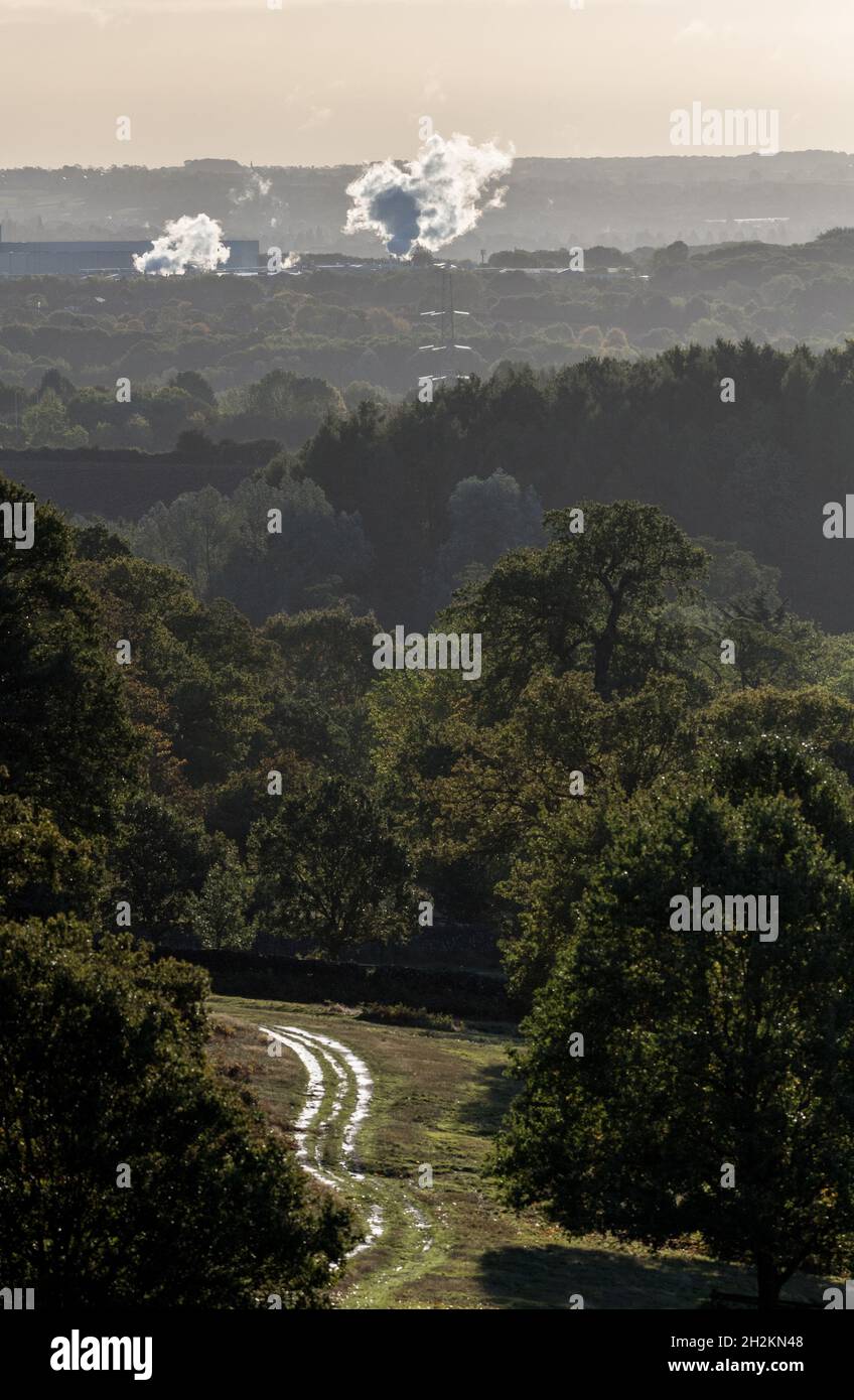 Industrial pollution from factories and woodland landscape. Stock Photo