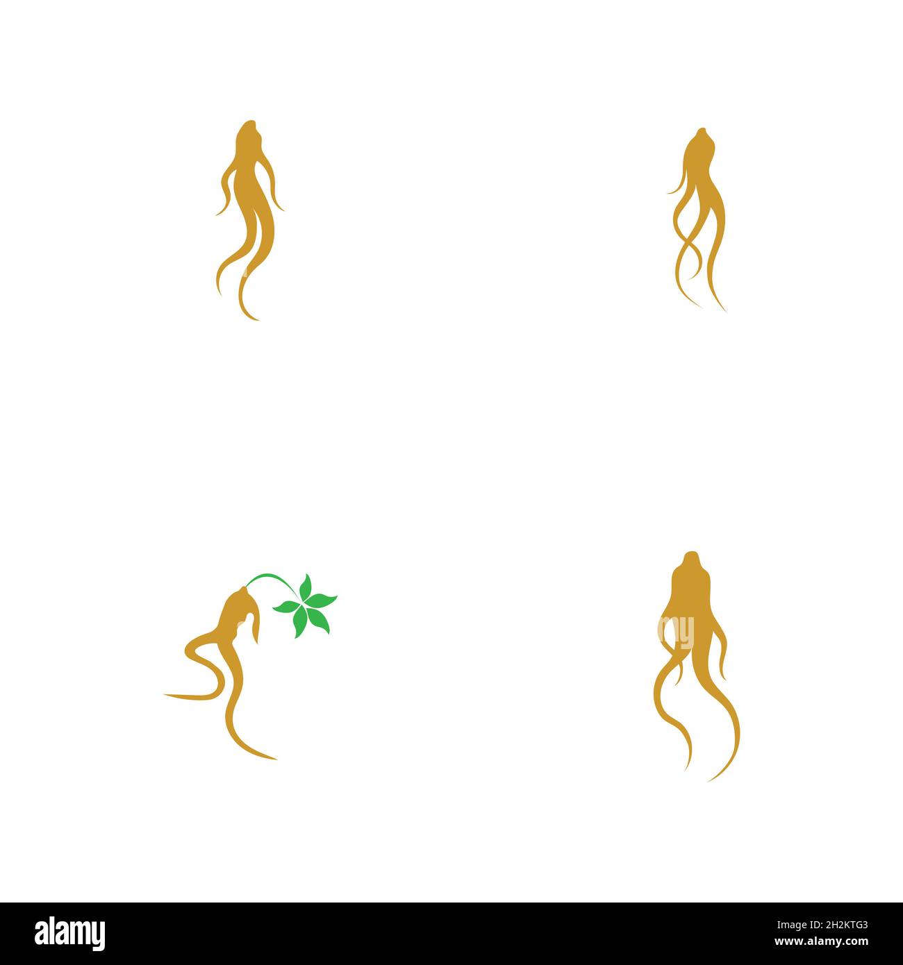 Ginseng logo set illustration vector template Stock Vector