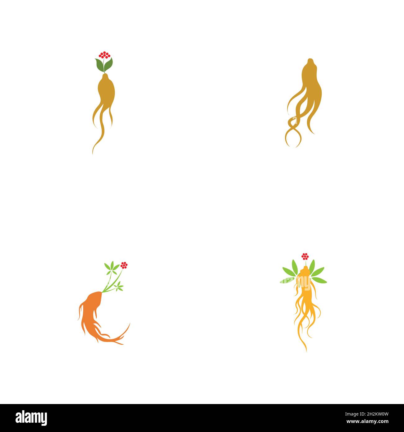 Ginseng logo set illustration vector template Stock Vector