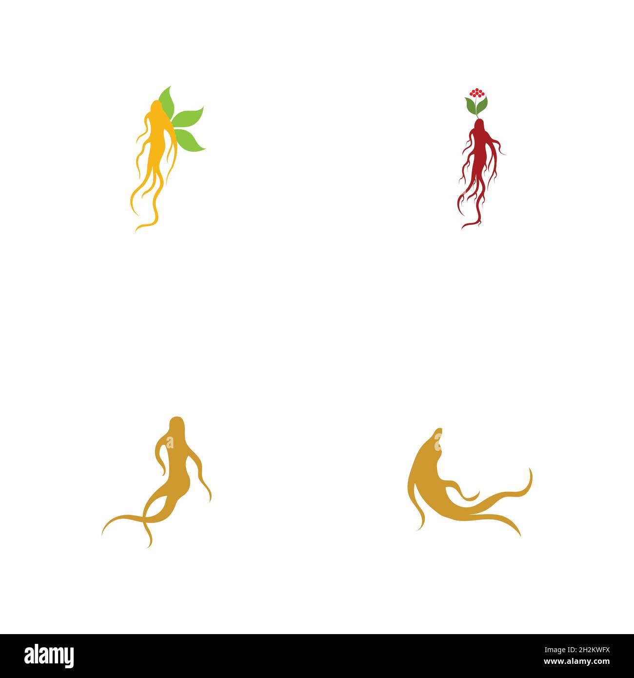 Ginseng logo set illustration vector template Stock Vector