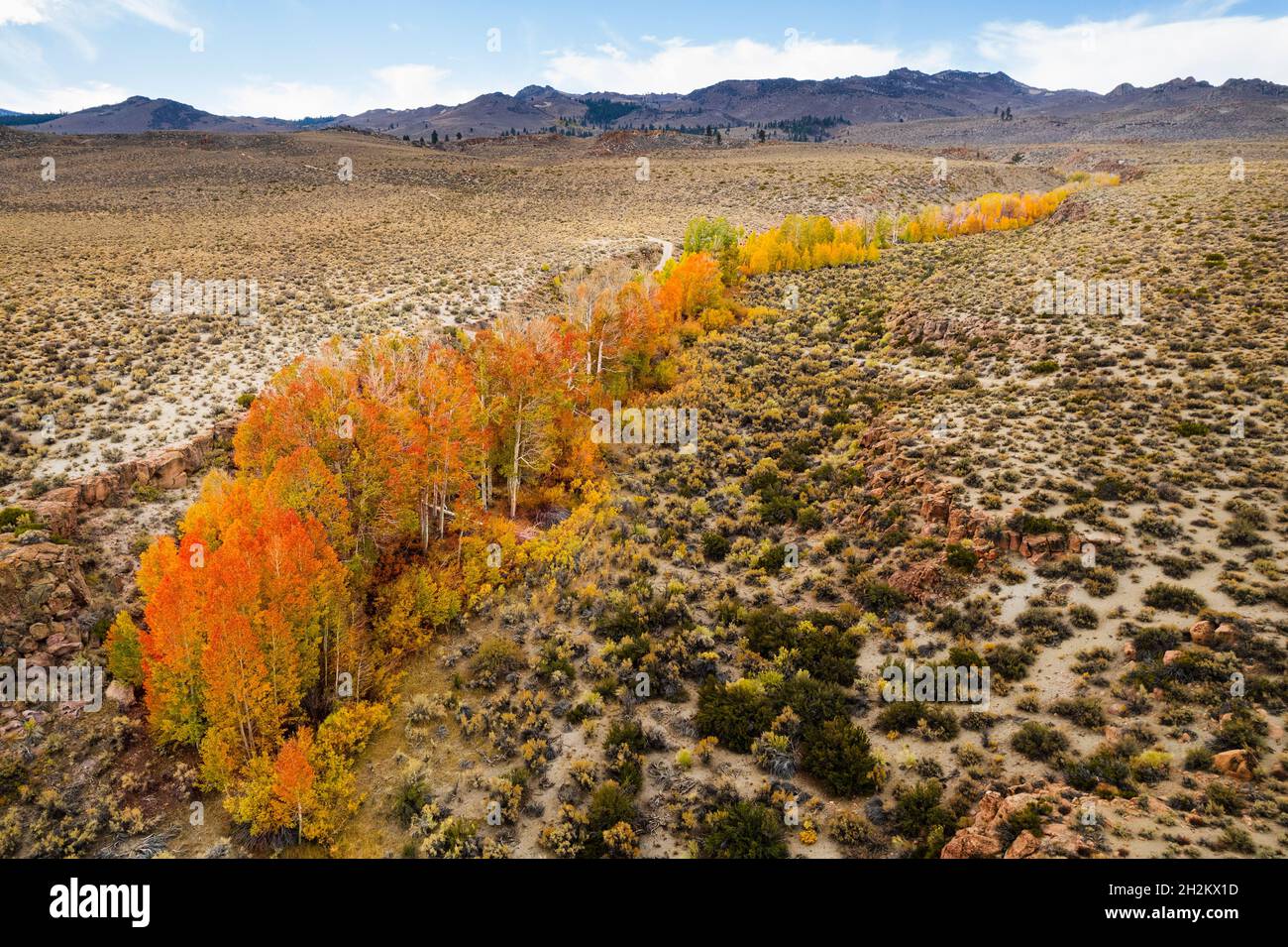 Aerial view of fall colors protected in desert ravines near Mono Lake. Stock Photo