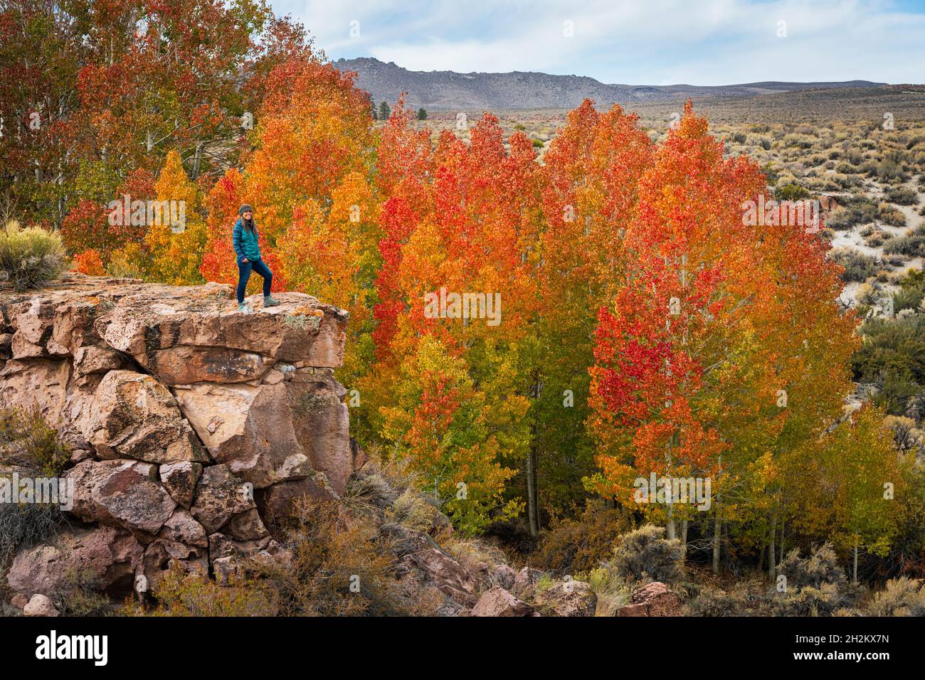 Fall colors protected in desert ravines near Mono Lake at sunrise with female hiker. Stock Photo