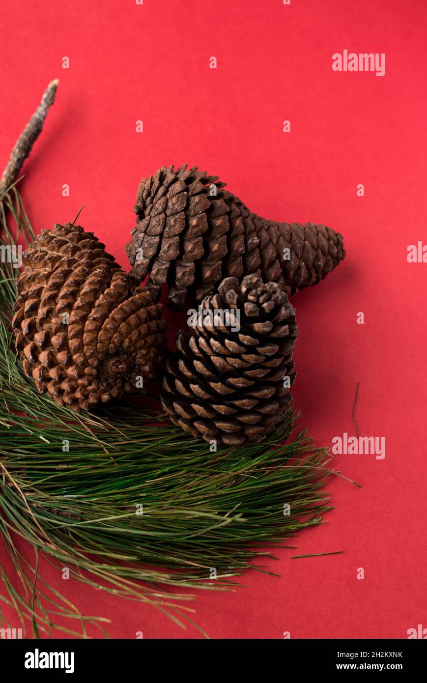 Some pine cones and pine branches on a bright red surface Stock Photo