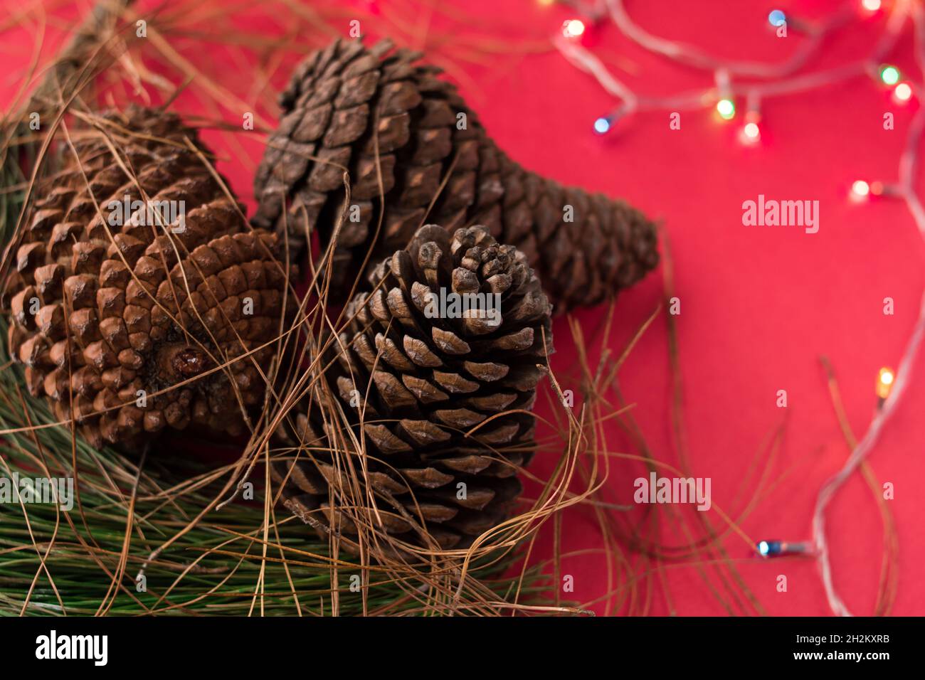 Some pine cones and pine branches on a bright red surface Stock Photo