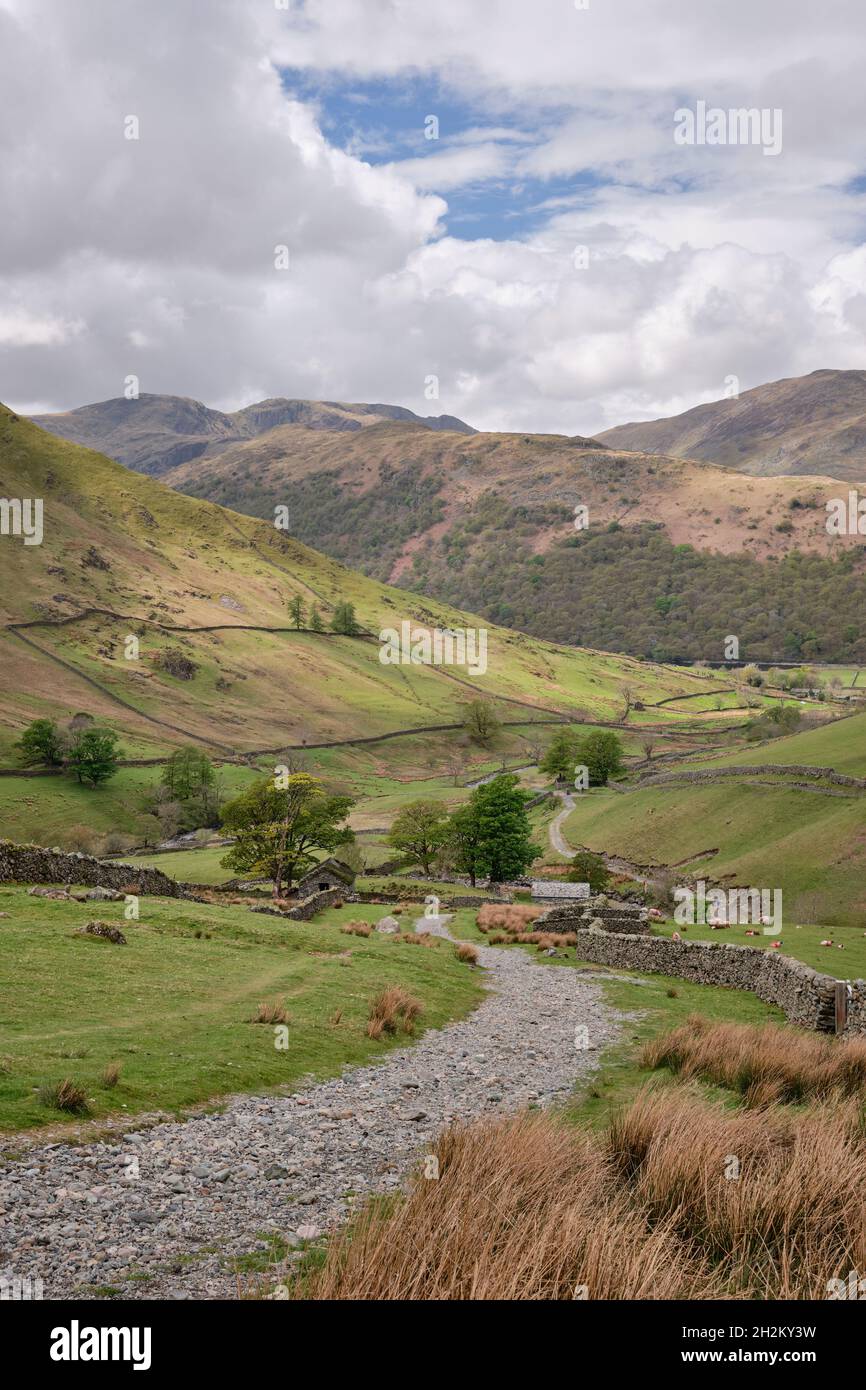 Footpath down to Hartsop from Hayeswater, Hartsop above How, Dove Crag and Hart Crag  on the horizon, Lake District, UK Stock Photo