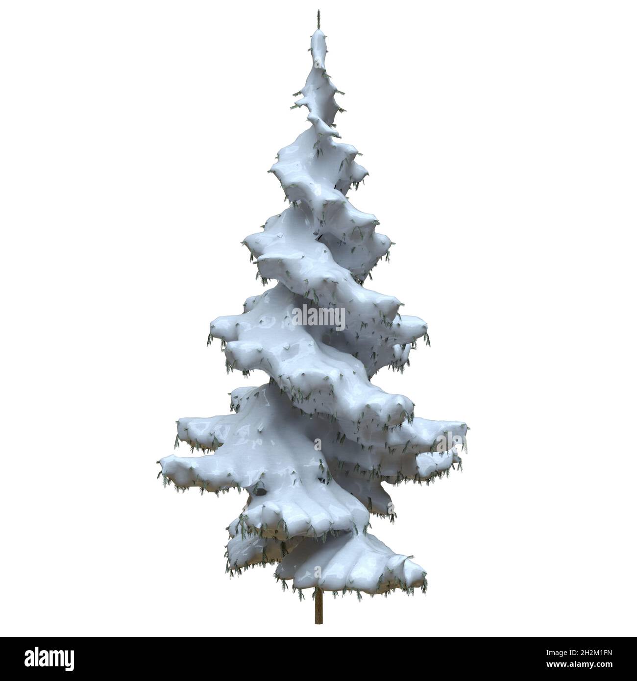 3D illustration winter fir tree in the snow isolated on white ...