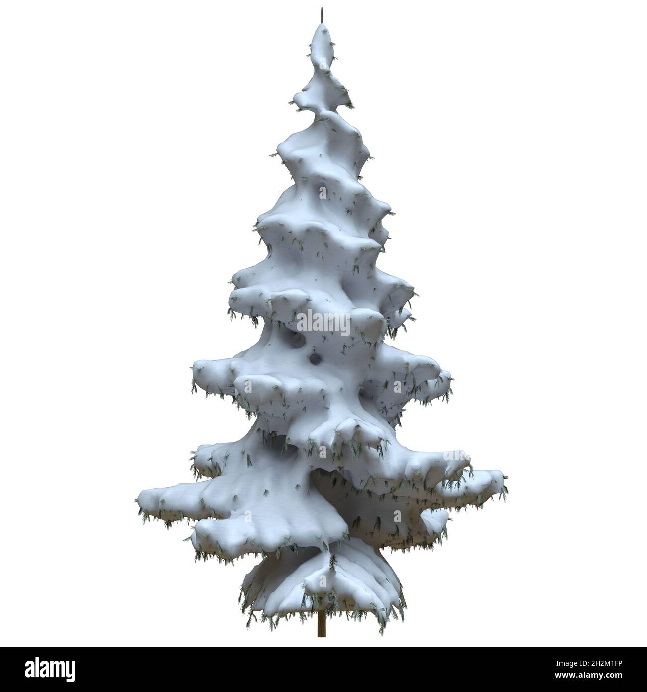 3D illustration winter fir tree in the snow isolated on white ...