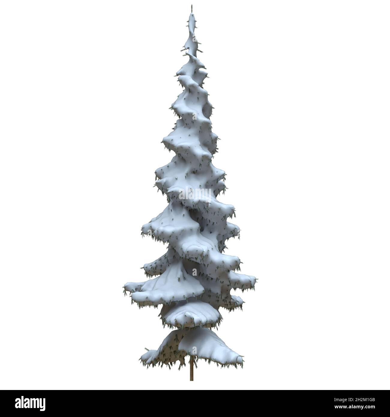 3D illustration winter fir tree in the snow isolated on white ...