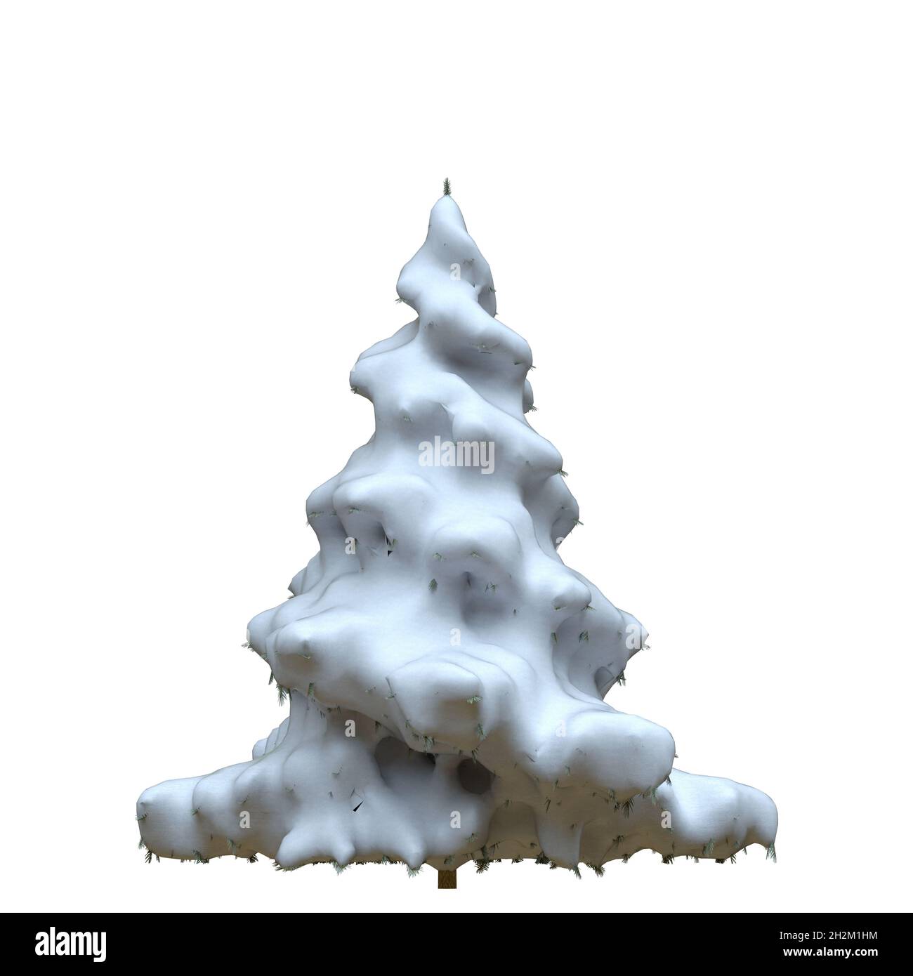 3D illustration winter fir tree in the snow isolated on white ...