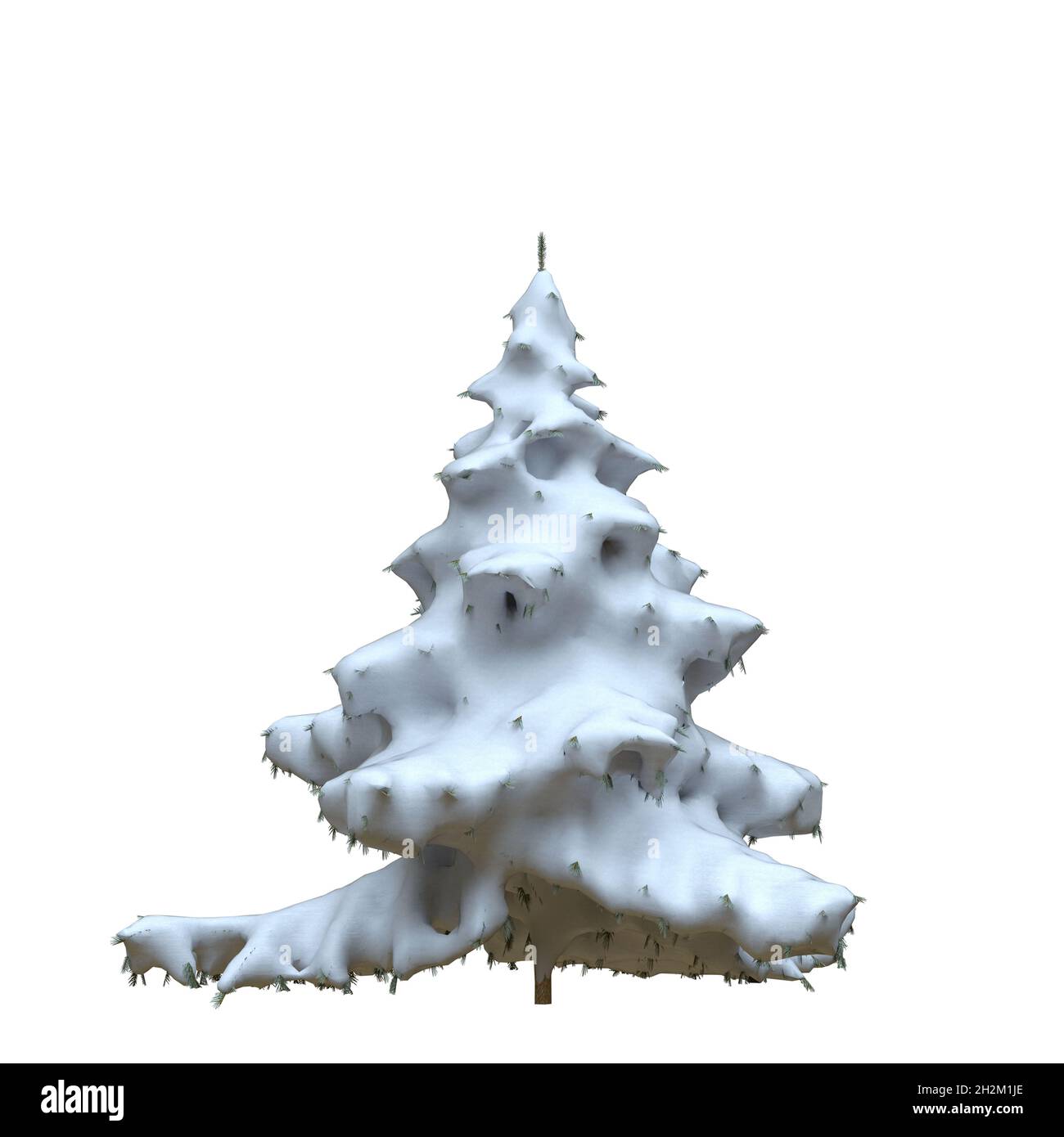3D illustration winter fir tree in the snow isolated on white ...