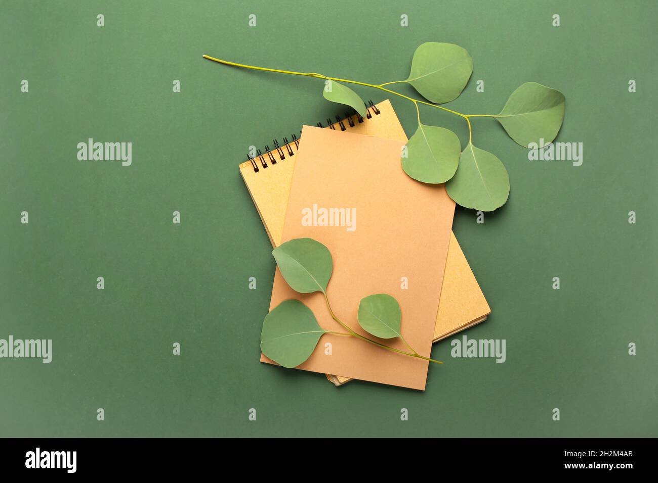 Blank paper sheet, notebook and on color background Stock Photo