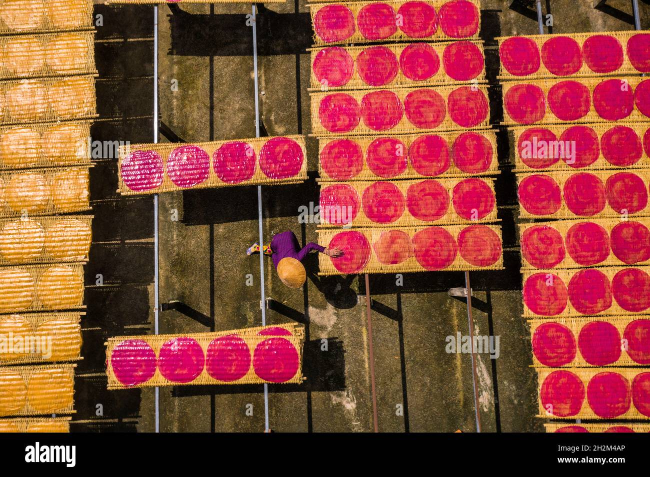 Workers are drying rice noodles in the sun Stock Photo - Alamy