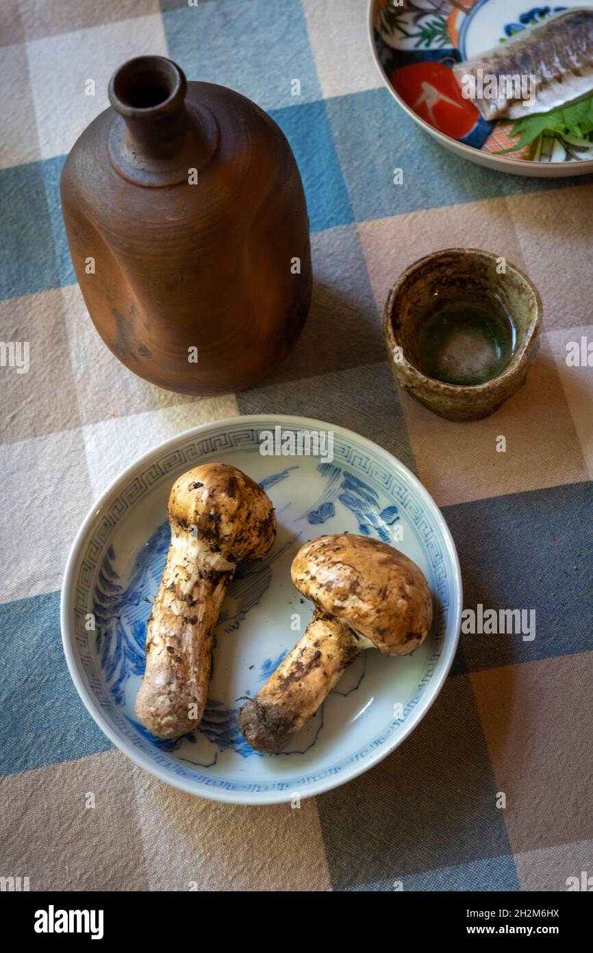 Raw matsutake mushrooms. Matsutake is a luxurious ingredient in