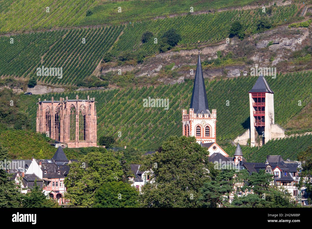 Werner Chapel ruins on the upper middle Rhine River in Bacharach, Germany Stock Photo