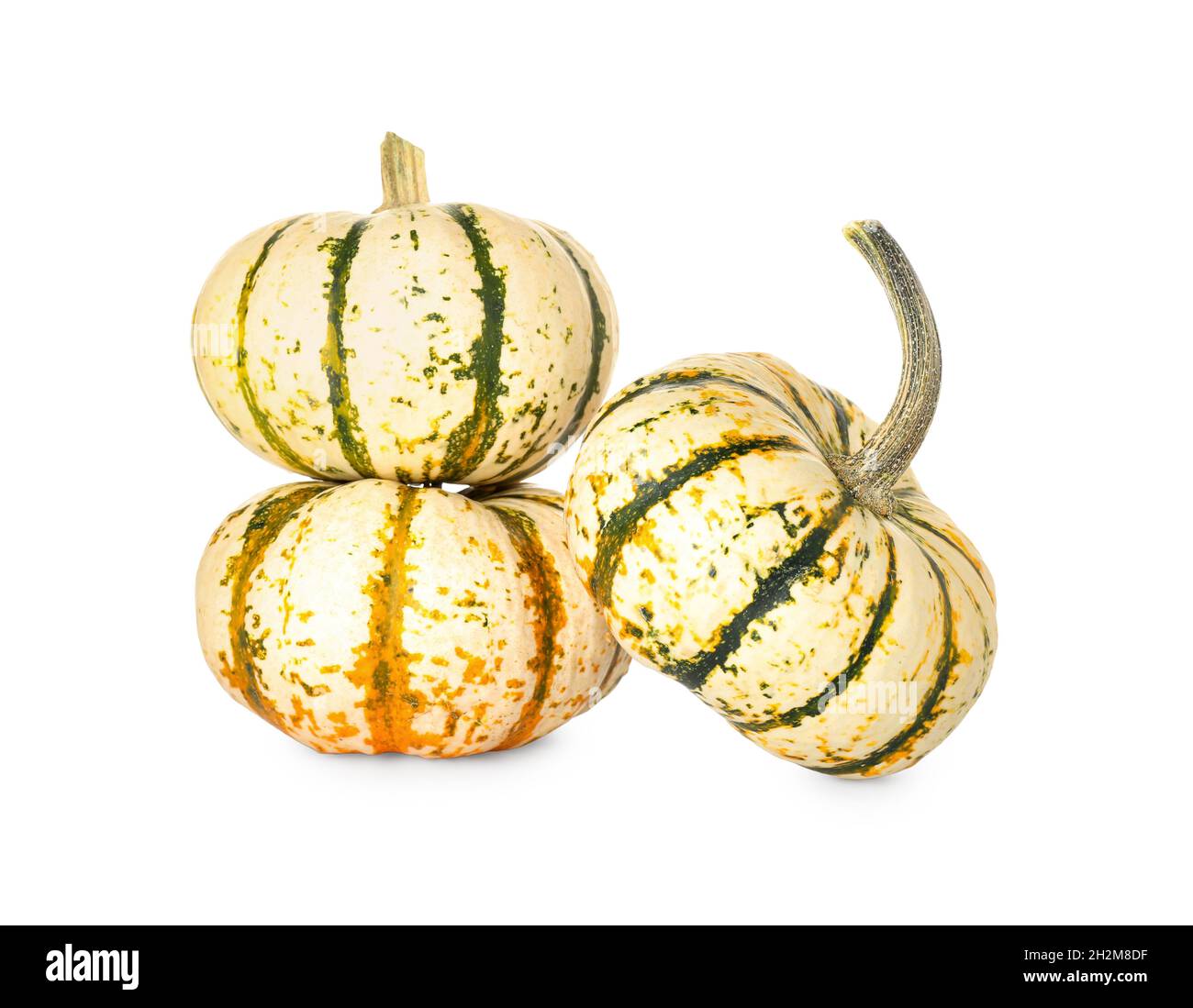 Whole fresh pumpkins isolated on white background Stock Photo - Alamy