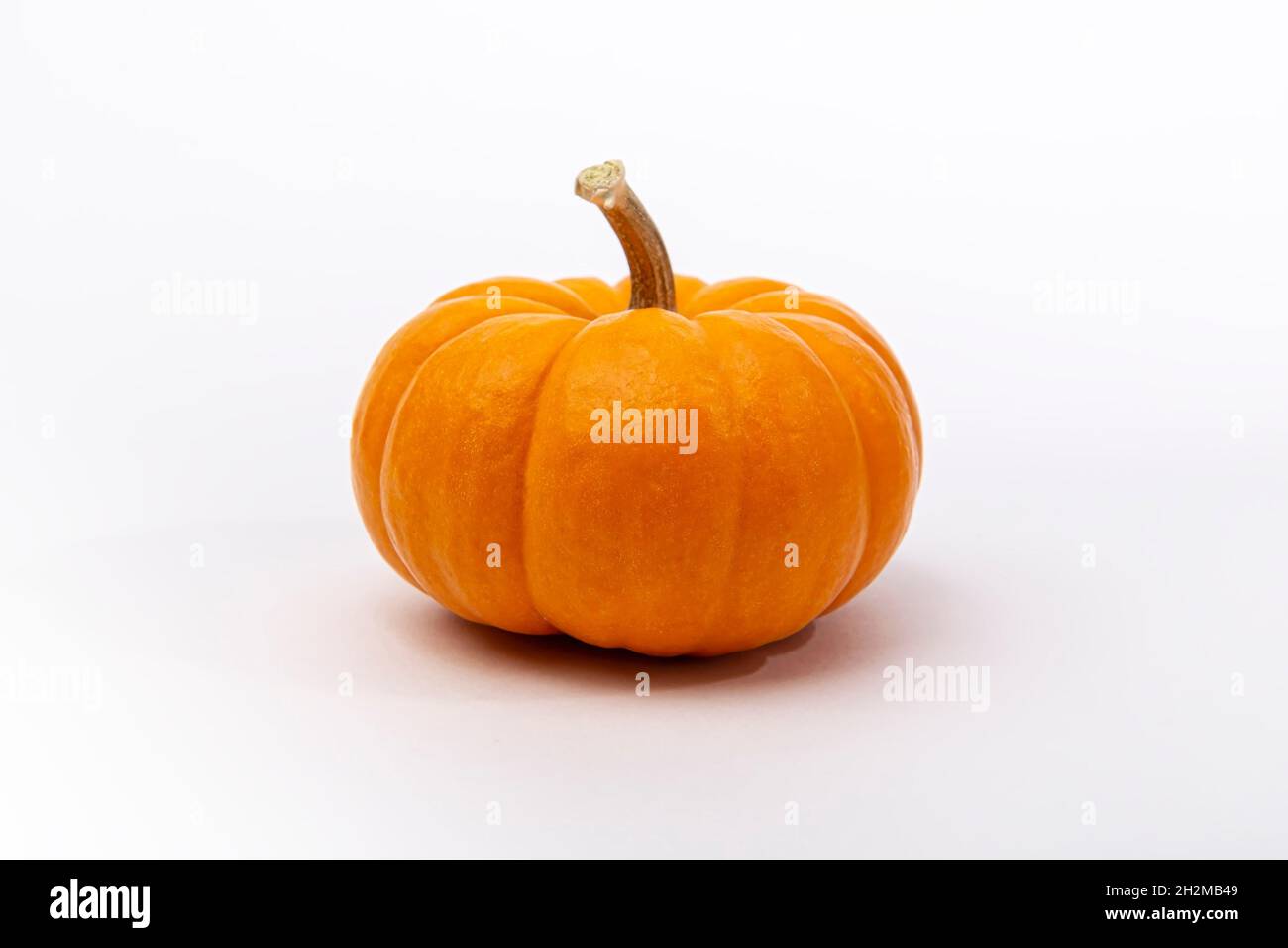 Orange pumpkin isolated on white background. Pumpkins are widely grown for commercial use and as food, aesthetics, and recreational purposes. Much con Stock Photo
