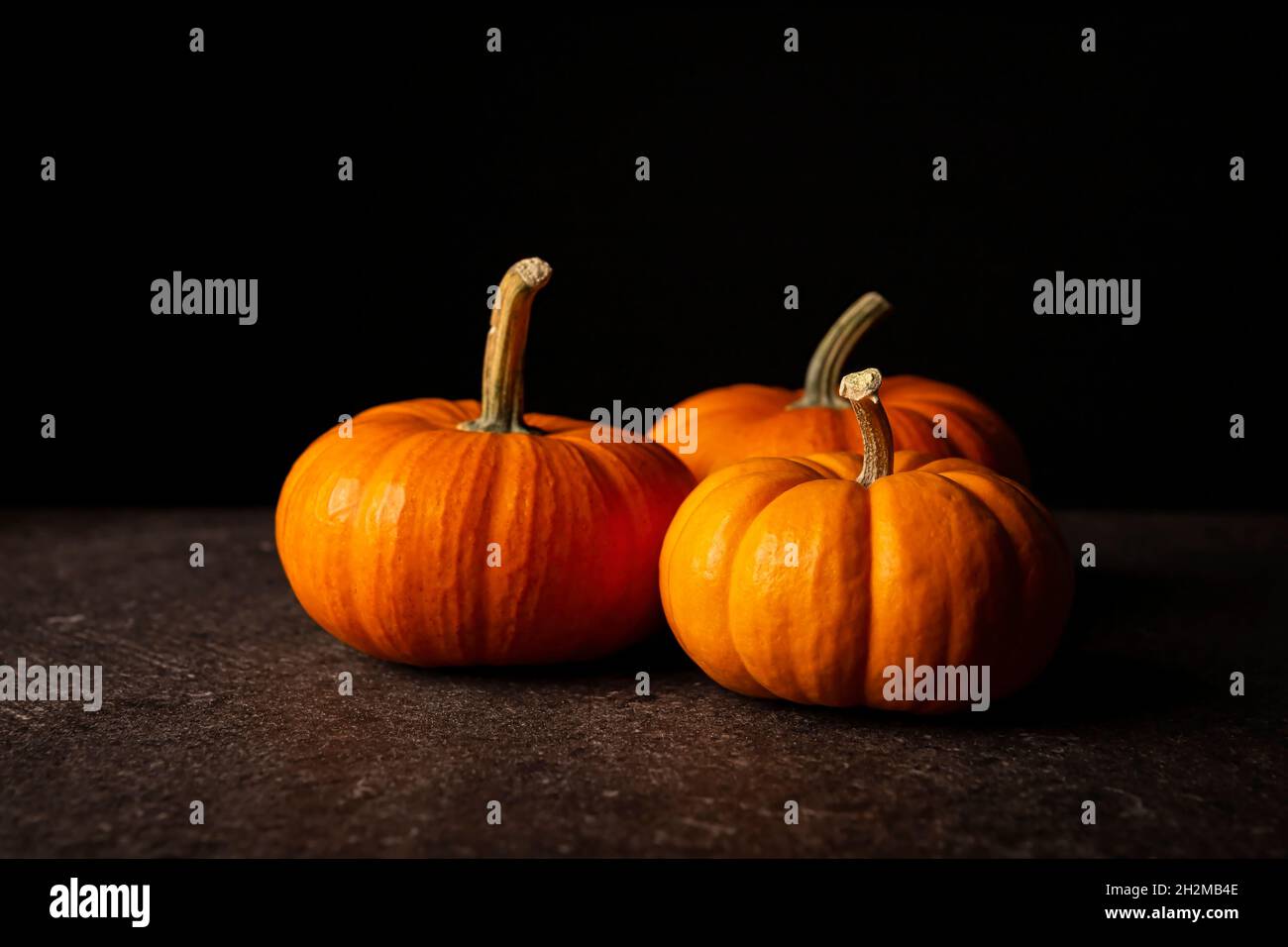 Small orange pumpkins with black background. Pumpkins are widely grown for commercial use and as food, aesthetics, and recreational purposes. Much con Stock Photo