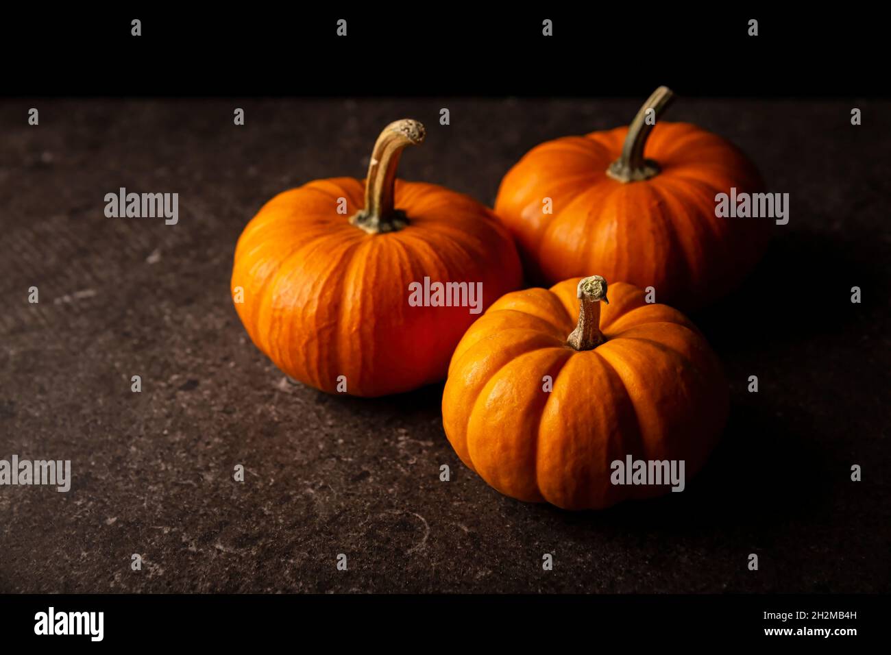 Small orange pumpkins with black background. Pumpkins are widely grown for commercial use and as food, aesthetics, and recreational purposes. Much con Stock Photo