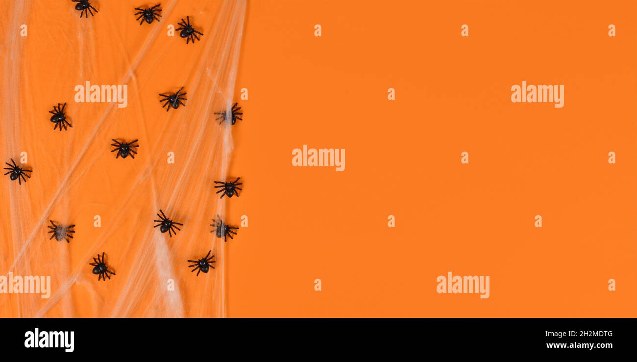 Halloween banner with spider webs and plastic spiders on side of orange