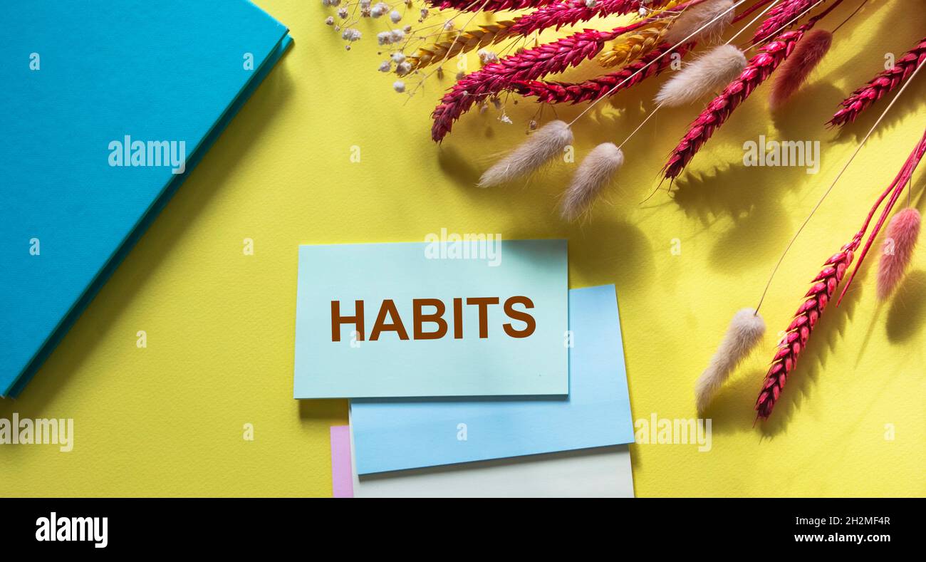 Habits, text on a colored sticker. Wheat ears and a notebook lie on a yellow background Stock Photo