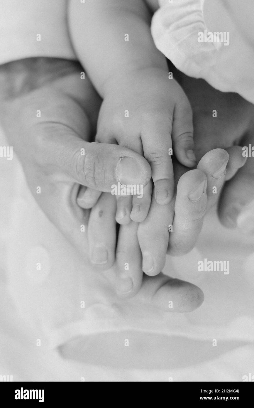 Hands of a family together closeup on light background Stock Photo - Alamy