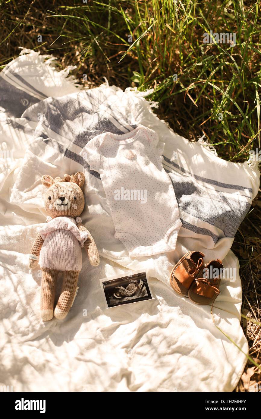 Little hand made baby clothes. Photo of ultrasound. newborn clothes on beige background with grass Stock Photo