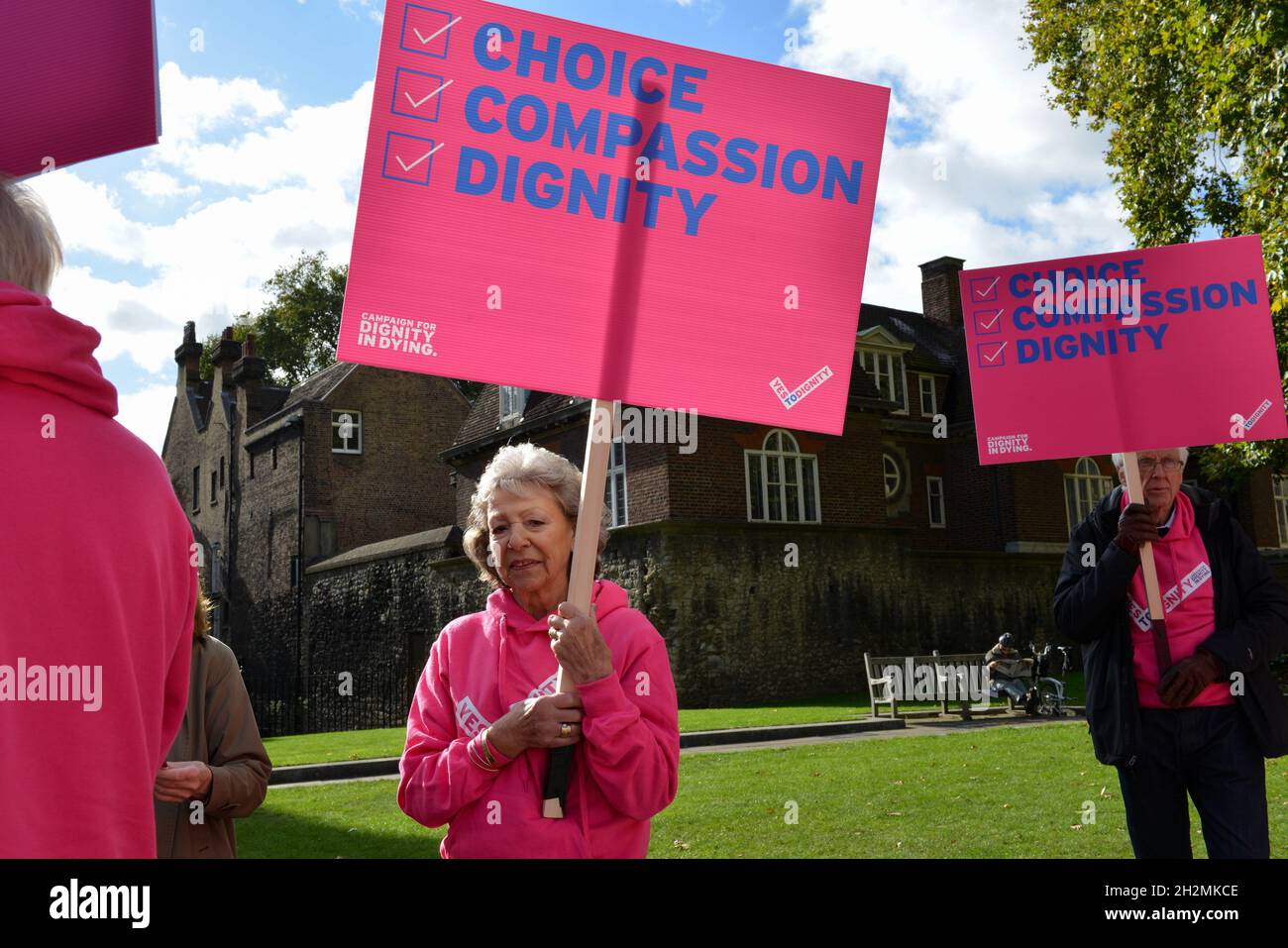 A woman holds a placard expressing her opinion at Abingdon Street during the demonstration. Protesters support legal euthanasia for terminally ill patients with full mental capacity, and who are not expected to live more than six months. Stock Photo