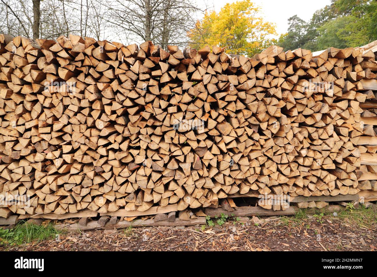 many split wood as firewood Stock Photo Alamy