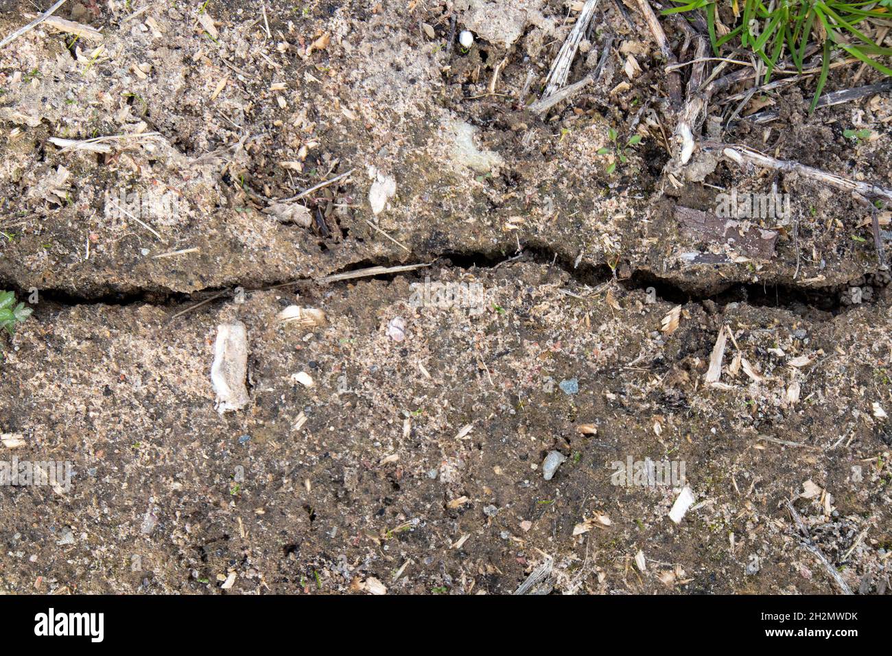 Cracked soil with big crack in the middle and pieces of grass and trash nearby Stock Photo
