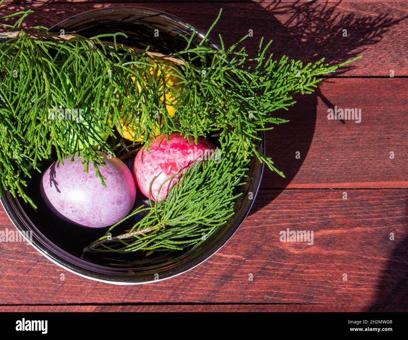 Four multicolored bright easter eggs in ceramic bowl staying on red wood surface Stock Photo