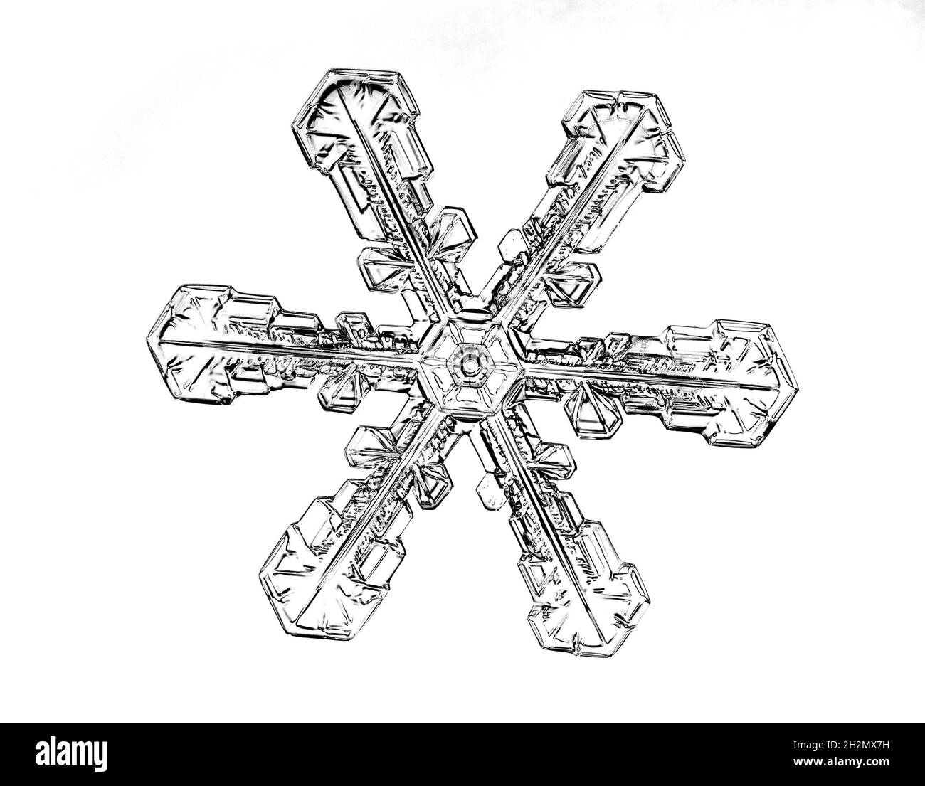 Black snowflake isolated on white background. Illustration based on macro photo of real snow crystal: elegant star plate with short, broad arms Stock Photo