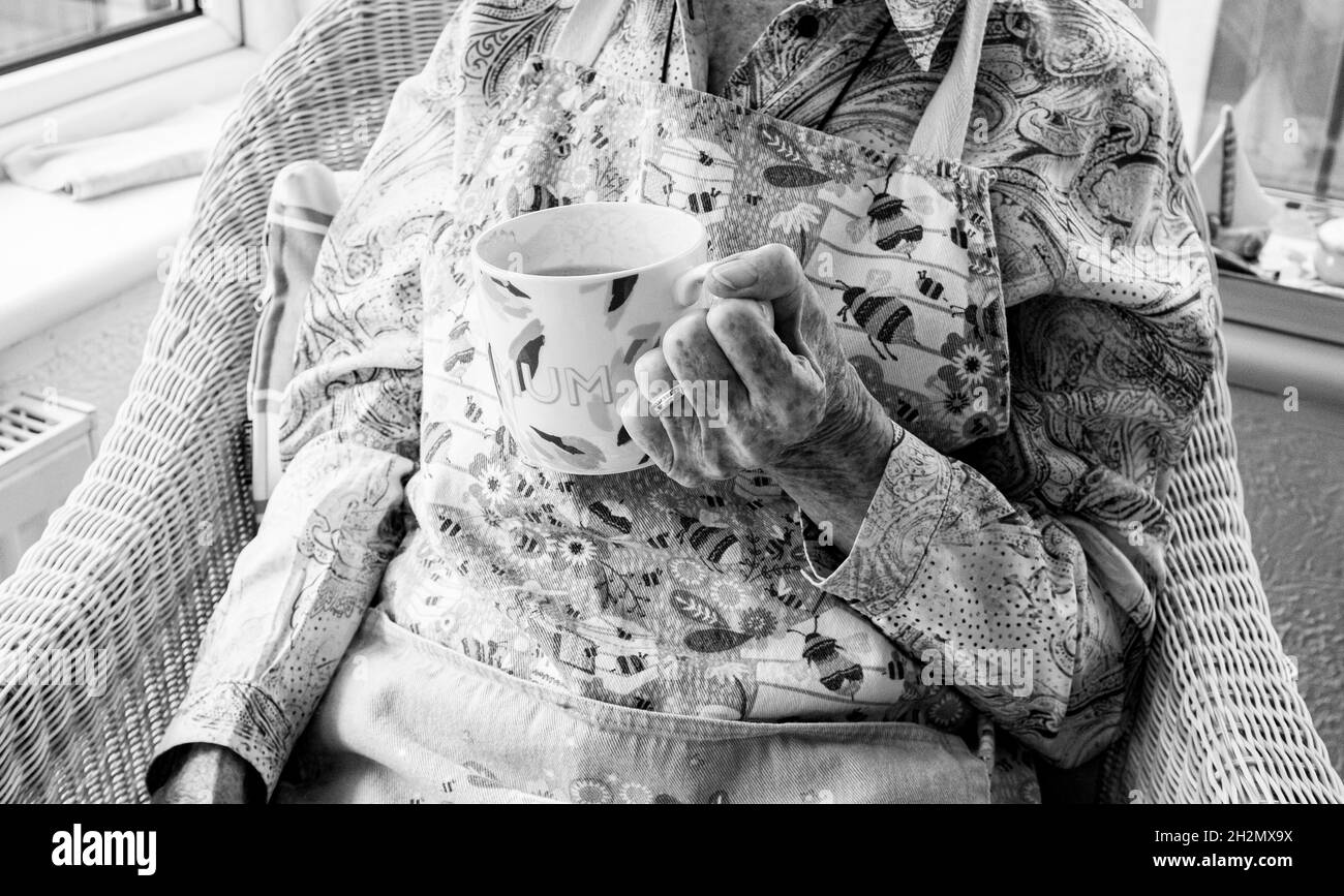 Elderly woman of 87 hands holding a Mum mug Stock Photo