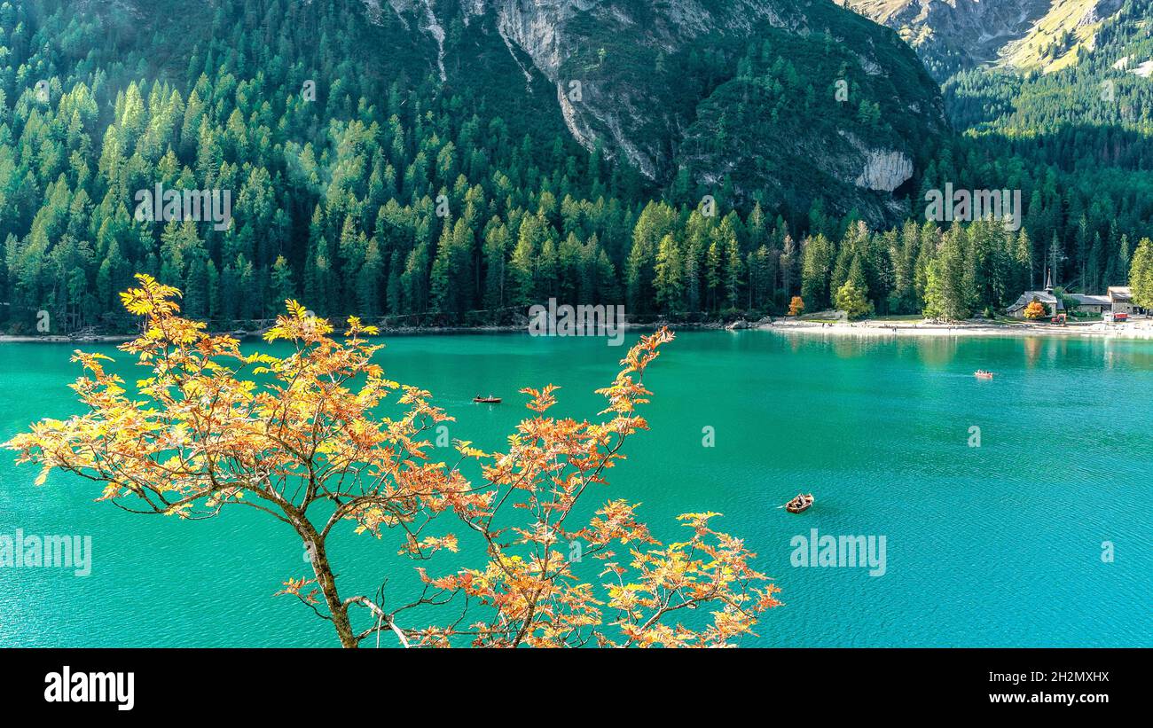 Autumn glow at famous Lake Prags with magical green water and tourists in rowing boats Stock Photo