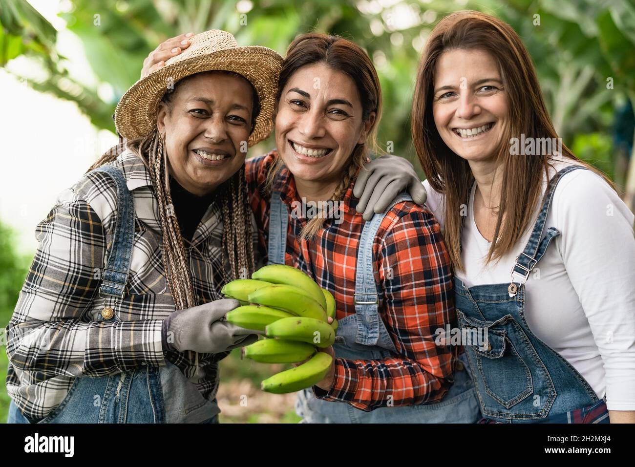 Happy farmers having fun working in bananas plantation - Farm people lifestyle concept Stock Photo