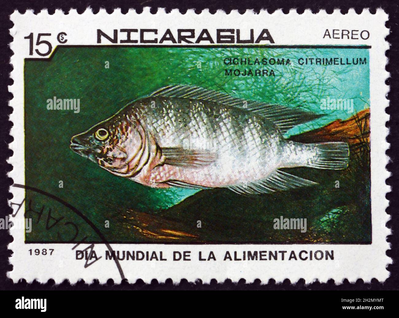 NICARAGUA - CIRCA 1987: a stamp printed in Nicaragua shows Midas Cichlid, Cichlasoma Citrinellum, Fish, circa 1987 Stock Photo