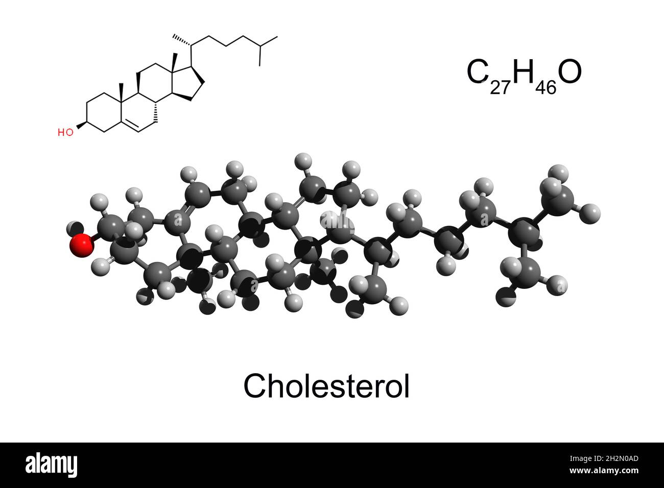 Cholesterol molecular model hires stock photography and images Alamy